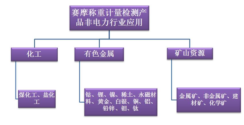 赛摩称重计量检测应用